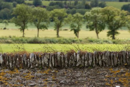Landschaft Irland